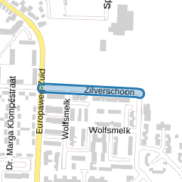 Zilverschoon