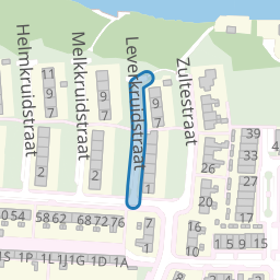 Leverkruidstraat