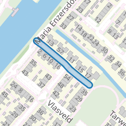 Koolzaadveld