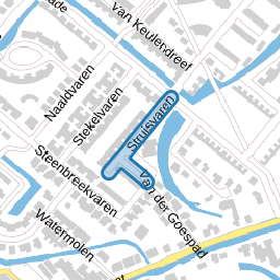 Struisvaren