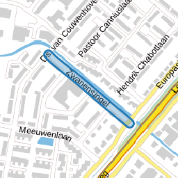 Zwanensingel