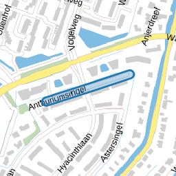 Anthuriumsingel