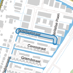 Bosplaatstraat