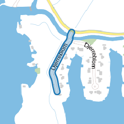 Djerreblom