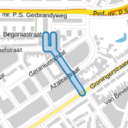 Goudsbloemstraat