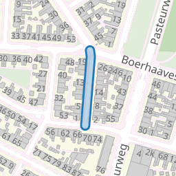 Veulenstraat