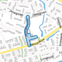 Winterakoniet