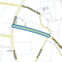 Oenemadyk