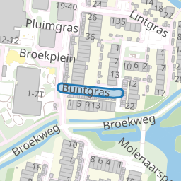 Buntgras