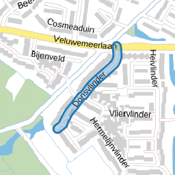 Donsvlinder