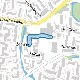 Dwergwier