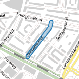 Meidoornstraat