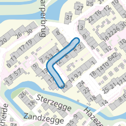 Spiegelkarper