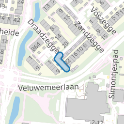 Voorjaarszegge