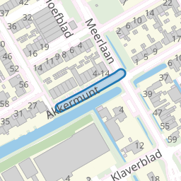 Akkermunt