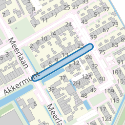 van Raephorststraat