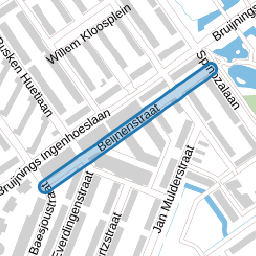 Beijnenstraat