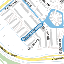 Galjoen 03