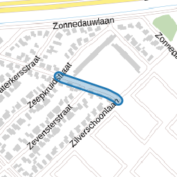 Pijlkruidstraat