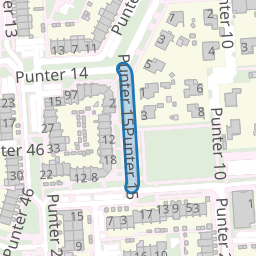 Punter 15