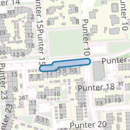 Punter 17