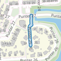 Punter 25