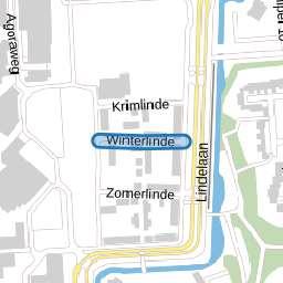 Winterlinde