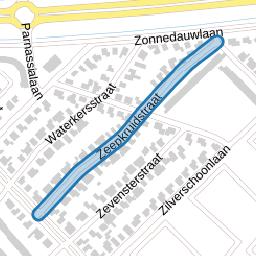 Zeepkruidstraat