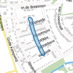 Korenbloemstraat