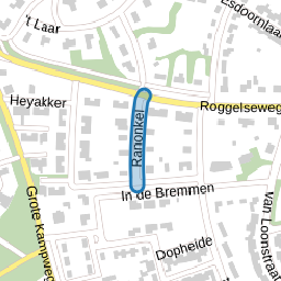 Ranonkel