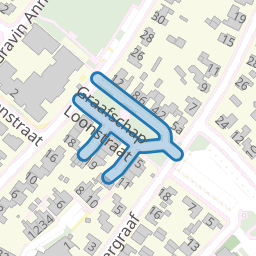 Graafschap Loonstraat