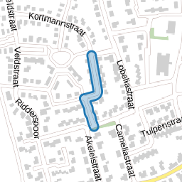 Kastanjestraat