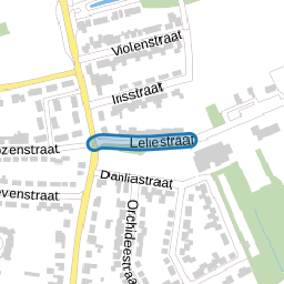 Leliestraat