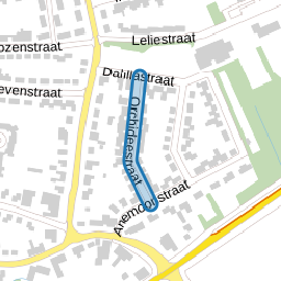 Orchideestraat