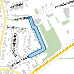 Petuniastraat