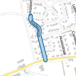 Ridderspoor