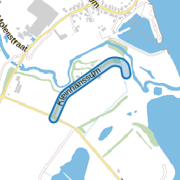 Kleinhanssum