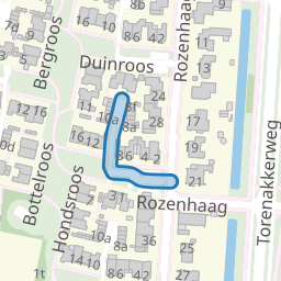 Hondsroos