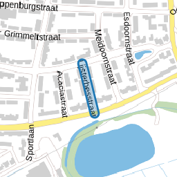 Lijsterbesstraat