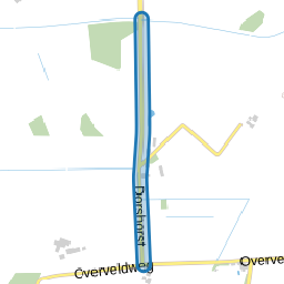 Dorshorst