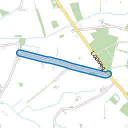 Dennendijk
