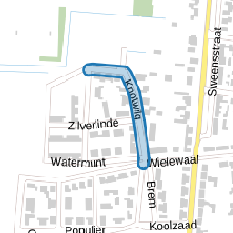 Knotwilg