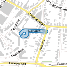 Lapvoet