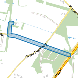 Bekspringweg