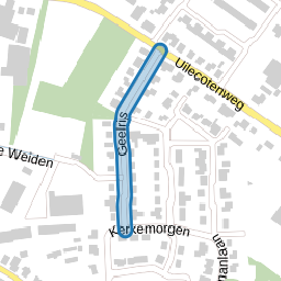 Geelrijs
