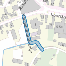 Hoogendoornlaantje