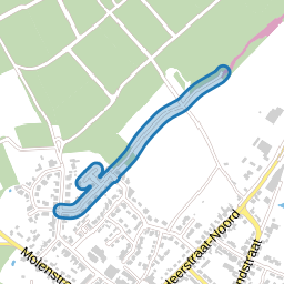 Bosveld