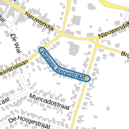 Prinses Irenestraat