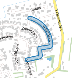 Watermunt