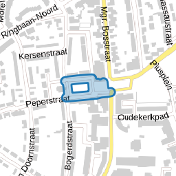 Bloesemplein